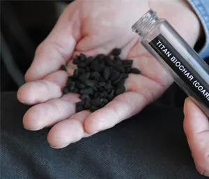 biochar