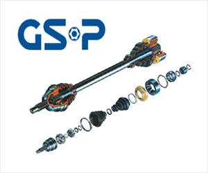 GSP Europe GmbH