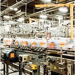 UPGRADE EXISTING CONVEYOR LINES