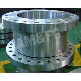 ALLOY STEEL FORGINGS