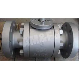 FORGED CARBON STEEL