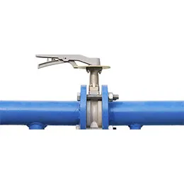 Valves