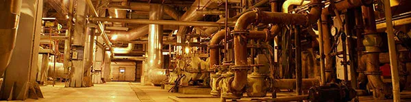 Fittings & Flanges
