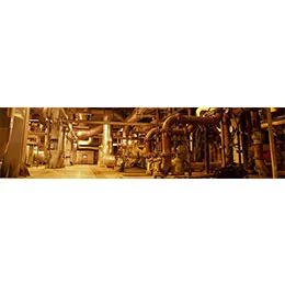 Fittings & Flanges