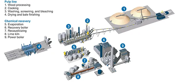 Kraft pulp