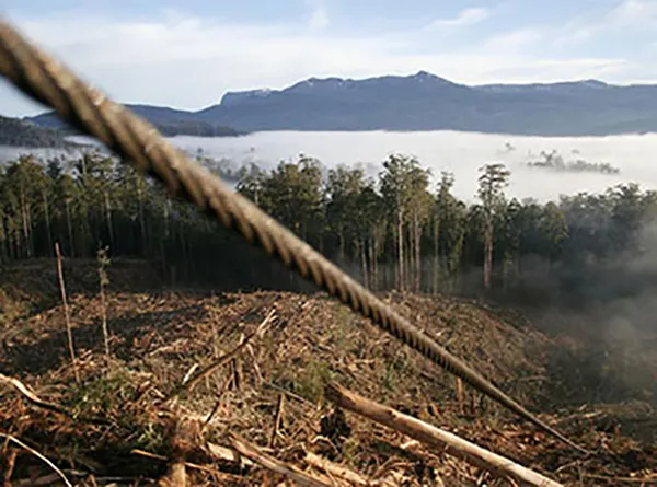 Specialty Ropes - Logging