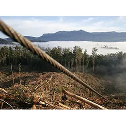 Specialty Ropes - Logging
