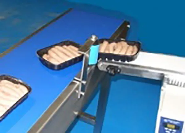 Food Grade Belt Handling
