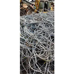 Waste Disposal And Recycling