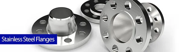 Stainless Steel Flanges