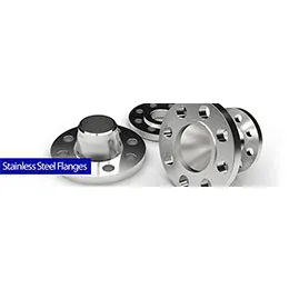 Stainless Steel Flanges