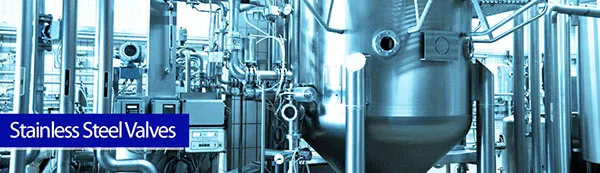 Stainless Steel Valves