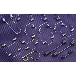 Double Torsion Springs