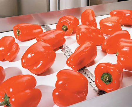 ALLIGATOR® STAPLE FASTENING SYSTEM