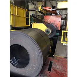 FLAT ROLL DIVISION