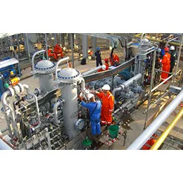 Gas Lift