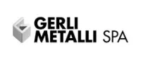 Ferro alloys