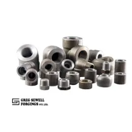 Forged Fittings & Steel Forgings