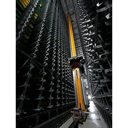 Automated Storage Retrieval Systems (ASRS)