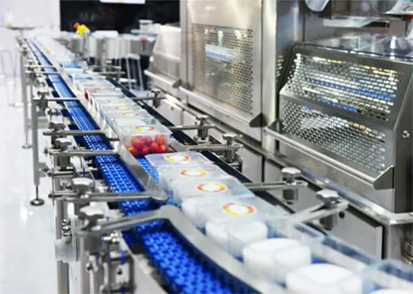 Conveyor Systems