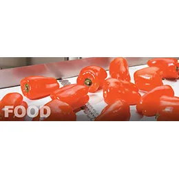 CONVEYOR BELTS