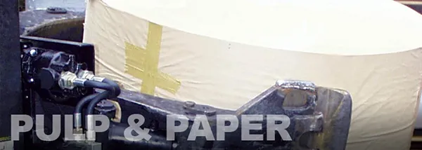 Pulp &Paper