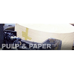 Pulp &Paper