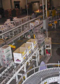 Roller Conveyors
