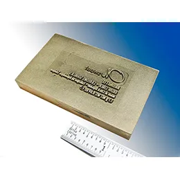 HOT STAMPING DIES