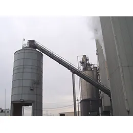 Sidewall Conveyors