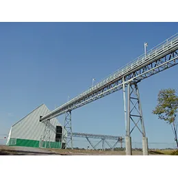 Trough Conveyors- Truss, Gallery, Overland, Channel Frame