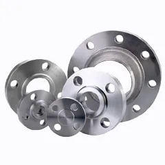 Stainless Steel Flanges