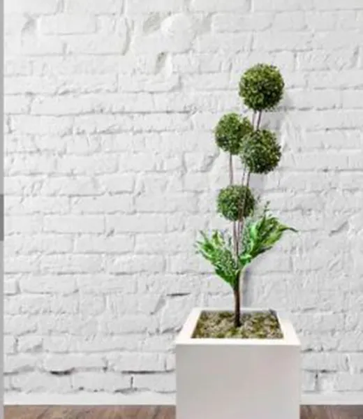 LCF Indoor Modern Square Metal Planter