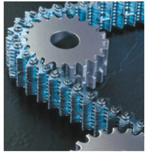 Duplex Chain