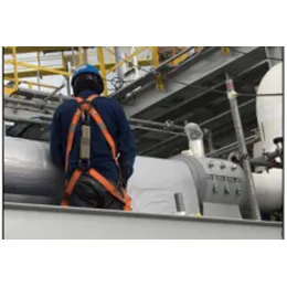 Field Services