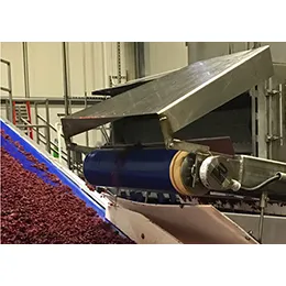 FOOD PROCESSING