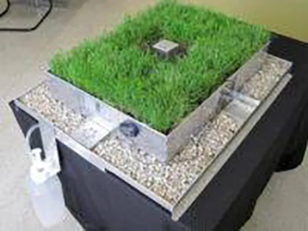 Assemble & Learn Green Roof Model