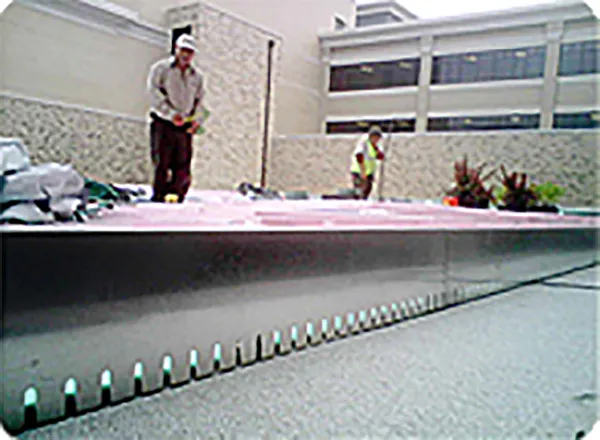 Ultra Clean Edge Perimeter Edging for Green Roof Edging