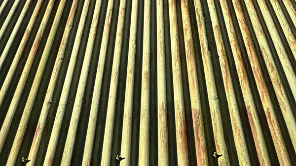 Coated steel sheet