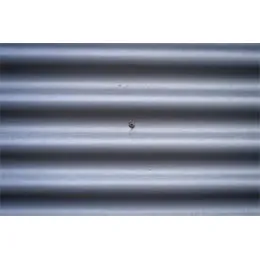 Hot roll steel sheet