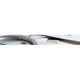 Stainless Spring Steel Strip