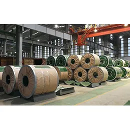 Stainless Steel Coils