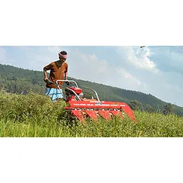 Agriculture