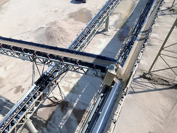 Transfer Conveyors