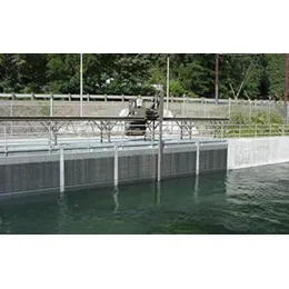 TRAVELING WATER SCREENS