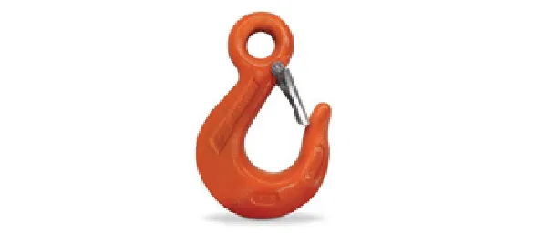 EYE SLING HOOK WITH LATCH