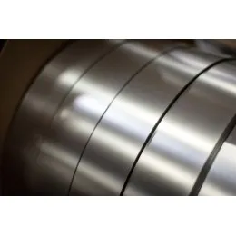 Stainless Steel Strip Rolled