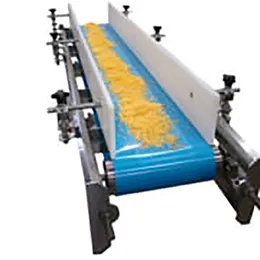 Belt Conveyor System