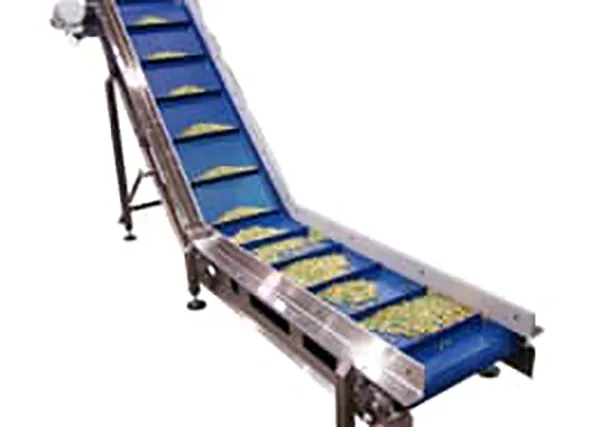 Food Conveyors and Washdown Conveyors
