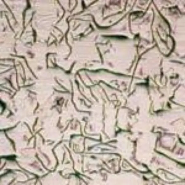 Unibar 200